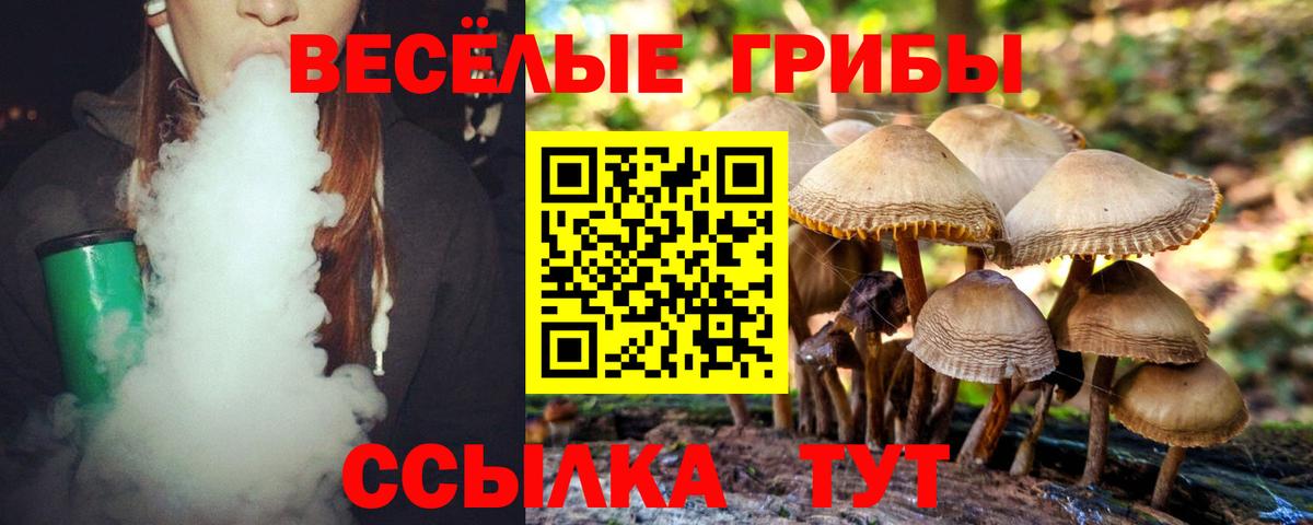 Арсеньев  магазин    Вход с VPN  Галлюциногенные грибы мухоморы 